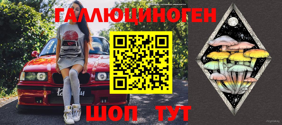 Псилоцибиновые грибы Psilocybine cubensis Кумертау