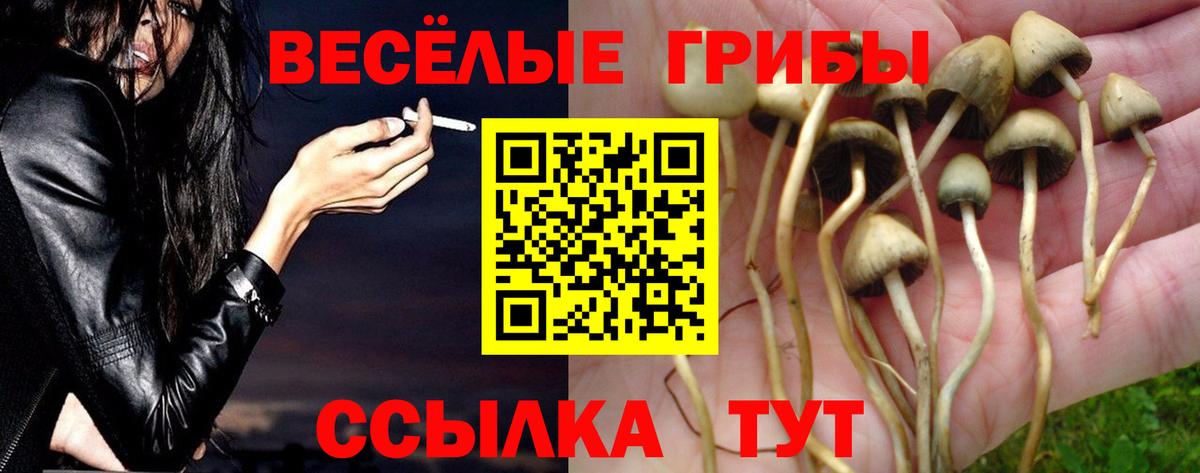 купить наркотики сайты  Галлюциногенные грибы прущие грибы  Вход с VPN  Псилоцибиновые грибы GOLDEN TEACHER  Кумертау 